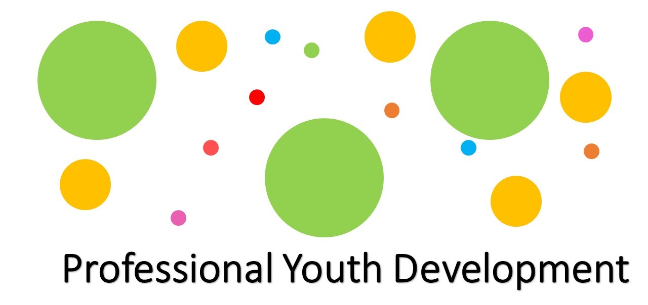 professional-youth-development